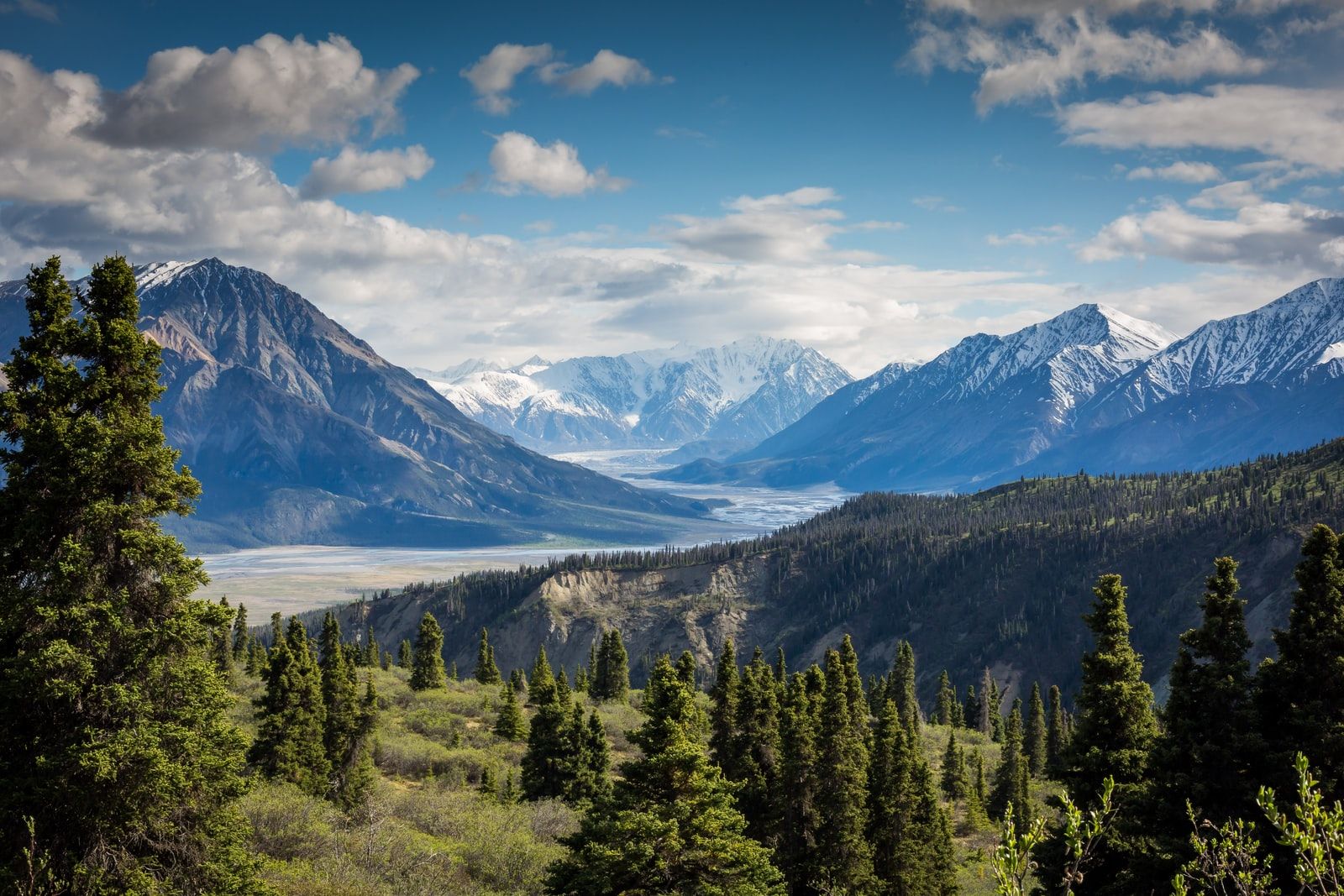 Your project this week involves a pleasant walk in nature